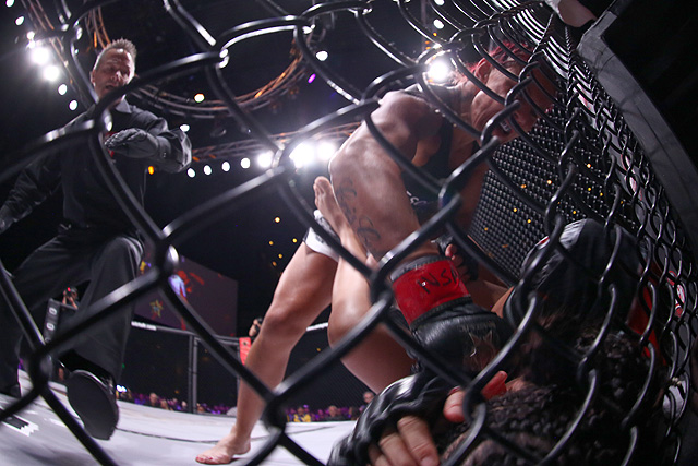 Antonio Bigfoot Silva MMA Stats, Pictures, News, Videos 