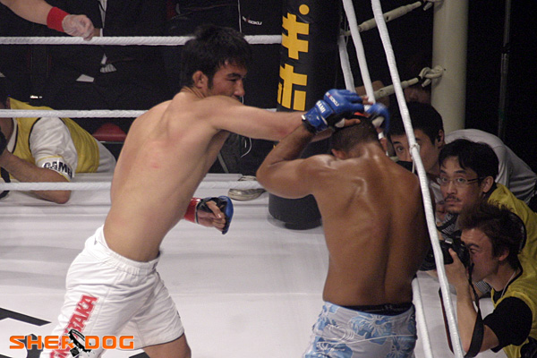 Yuki Sasaki MMA Stats, Pictures, News, Videos, Biography 